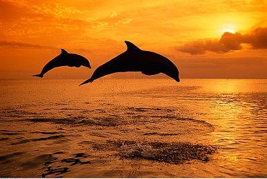 《尼罗河勇士2》体验版上架 初代玩家可享专属福利