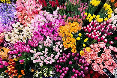 搬家布置游戏《Unpacking》发售日公开 支持简中